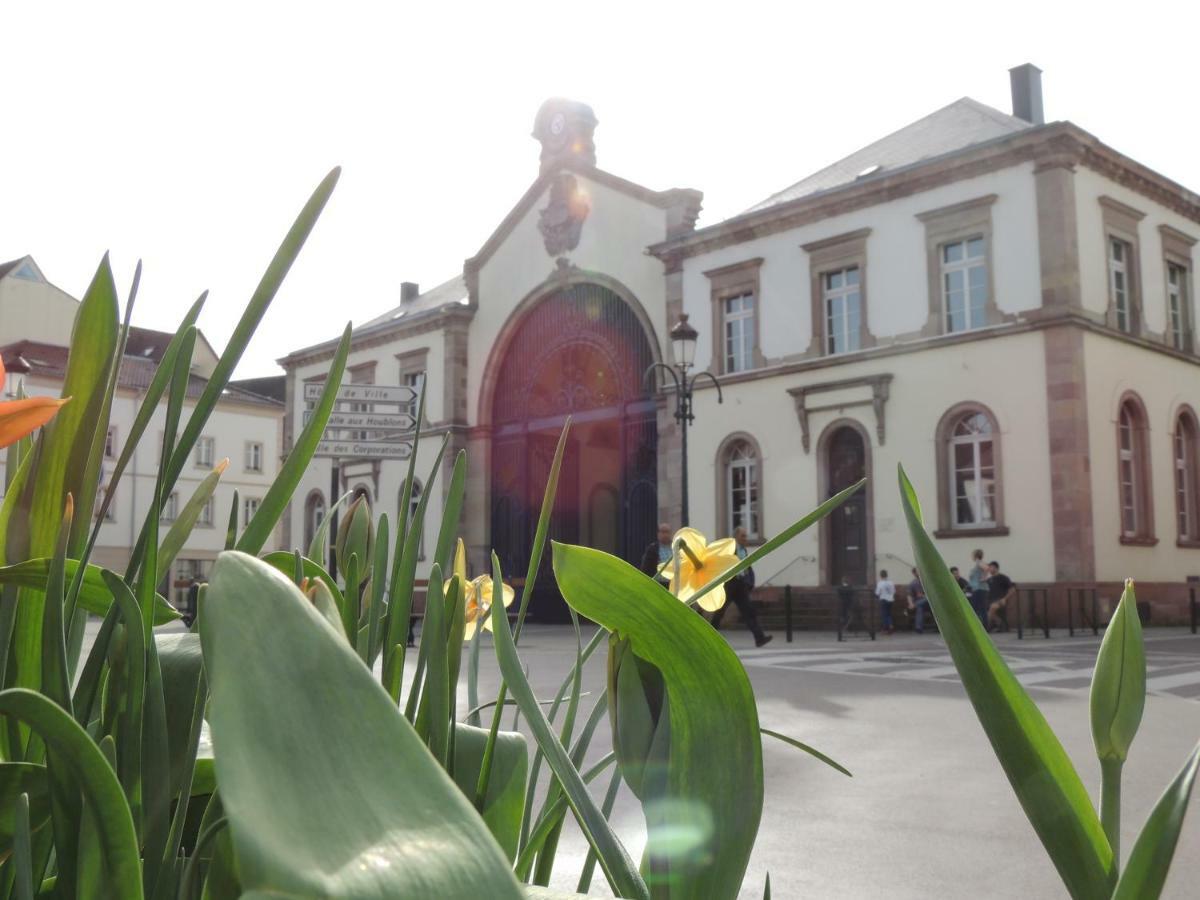 Appart'Azur Haguenau - Centre Grand'Rue - Logements Entiers Pour Voyageur Pro Екстер'єр фото